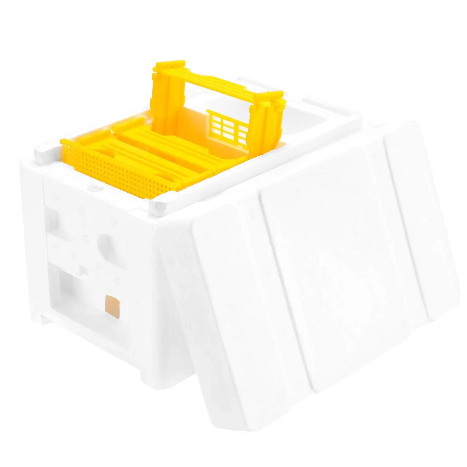 Queen Breeding Rearing Box Bee Mating Nucs Hive Foam Queen King Pollination Box Beehive