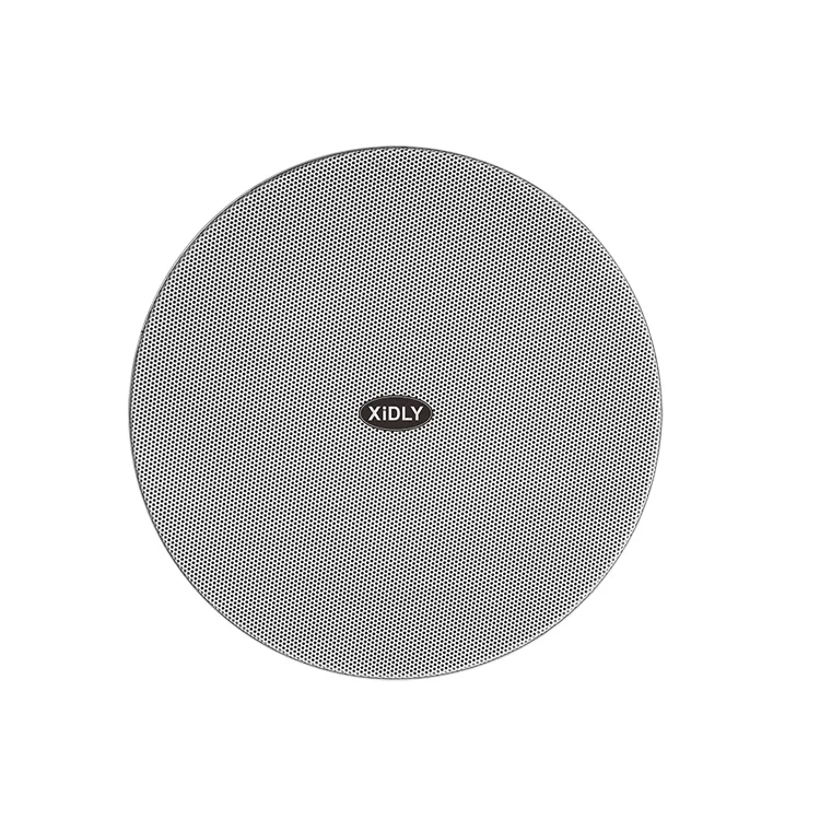 XIDLY - New design 100v 2-way coaxial passive pa Ceiling Speaker for background music