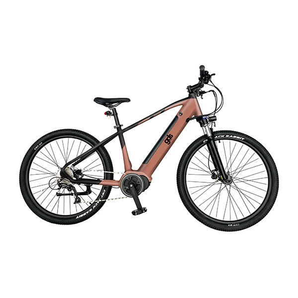 27.5 inch 9 speed Annada mid drive downhill dual suspension 250W 36V e bike electric mountain bike