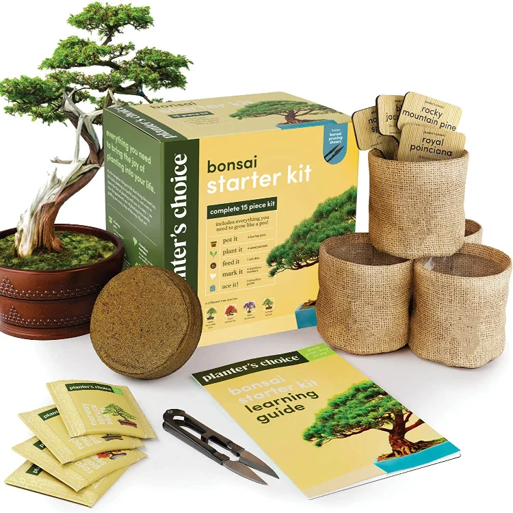 Unusual Christmas Gift Ideas Unique Diy Gardening Gifts Crafts Hobby Kits Tree Growing Garden Germinate Set Starter Kit Bonsai
