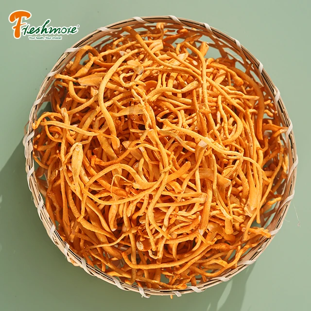 China finc agricultural  mushroom cultivation  fresh cordyceps militaris mushroom