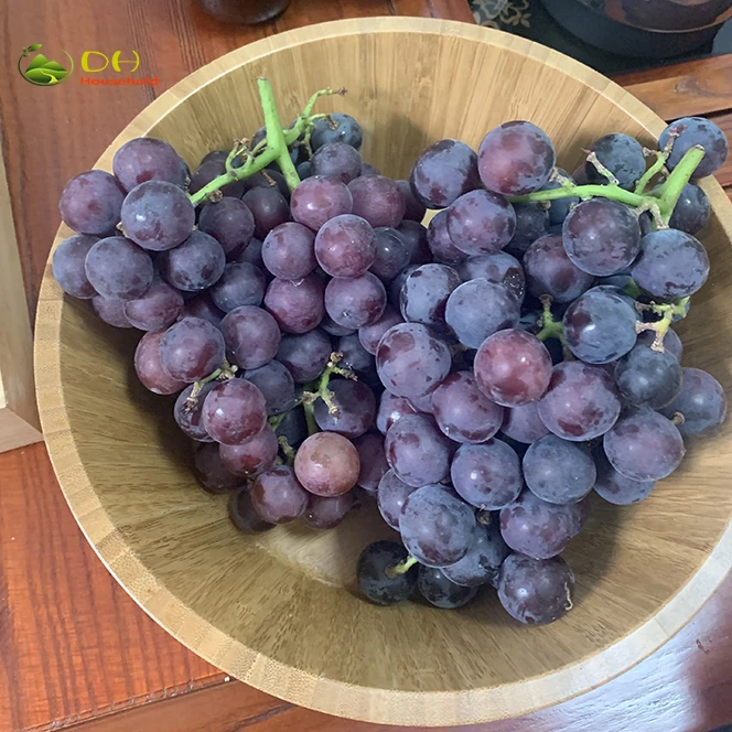 SaladBowlandHands10 (1).jpg