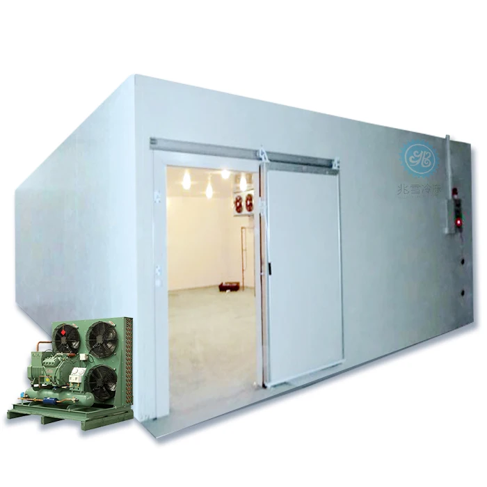 cold room refrigerator cold storage for meat, cooling freezer cooler container, coolroom of spices