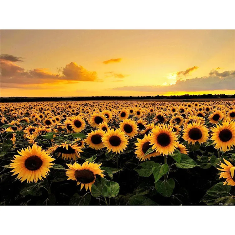Flower Diy 5D Diamond Painting Sunflower Landscape 5D Diamond Art Mosaic Painting Rhinestone Embroidery Handmade Gift Room Decor
