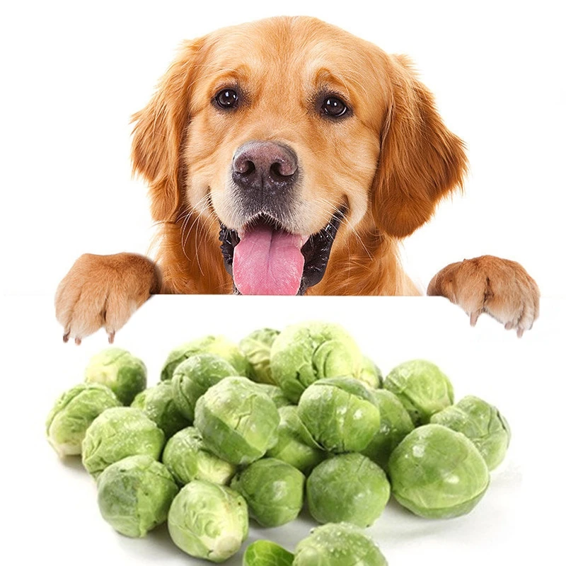Wholesale Pet Freeze-Dried vegetables and fruits Dog treats cat snacks Freeze Dry Broccoli peas cabbage carrots spinach Pumpkin