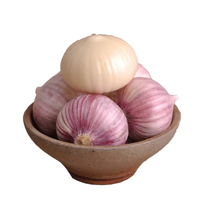 Fresh Solo garlic single clove garlic factory directly supply