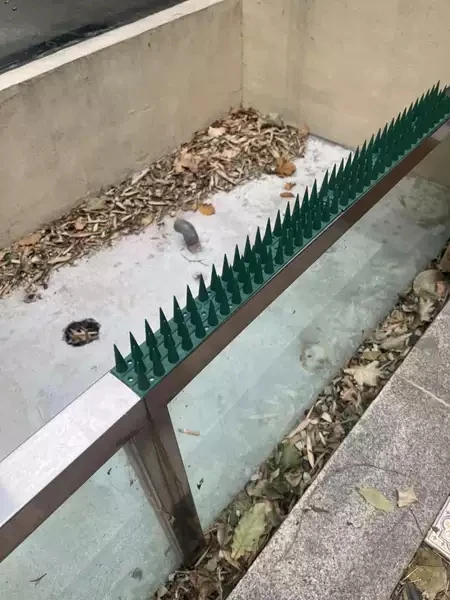 New Fence Wall Anti Climb Plastic Cat Bird Deterrent Spikes