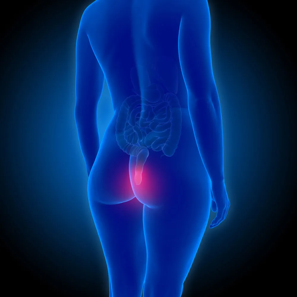 Yaser 980nm 30w 60w in Surgery Laser Solutions in Coloproctology for anal fistula and hemorrhoids treatment device