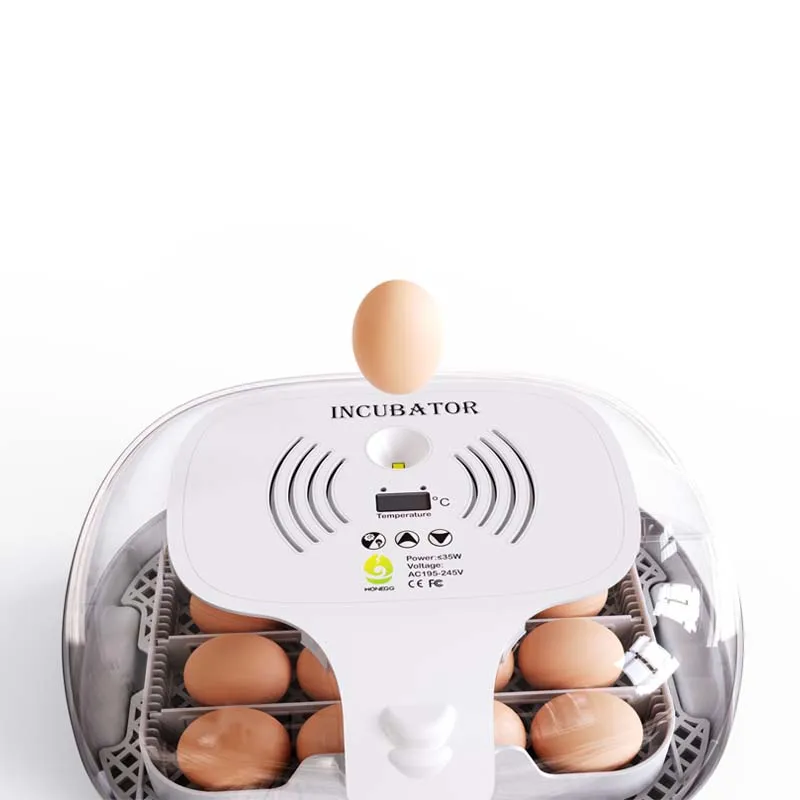 16 Eggs Digital Mini Automatic Incubators With Temperature Display Automatic Egg LED Turning Light Egg External Automatic Water
