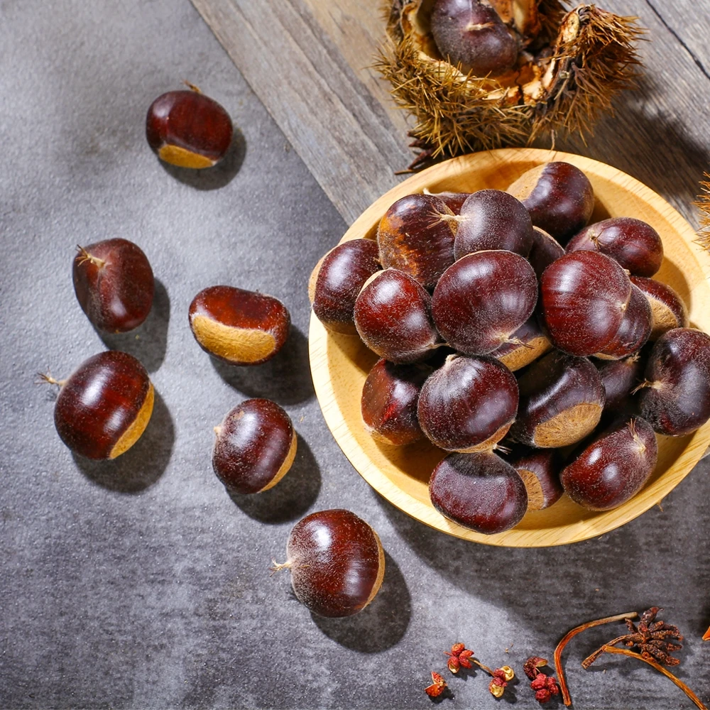 Новый свежий каштан yanshan hebei хорошего