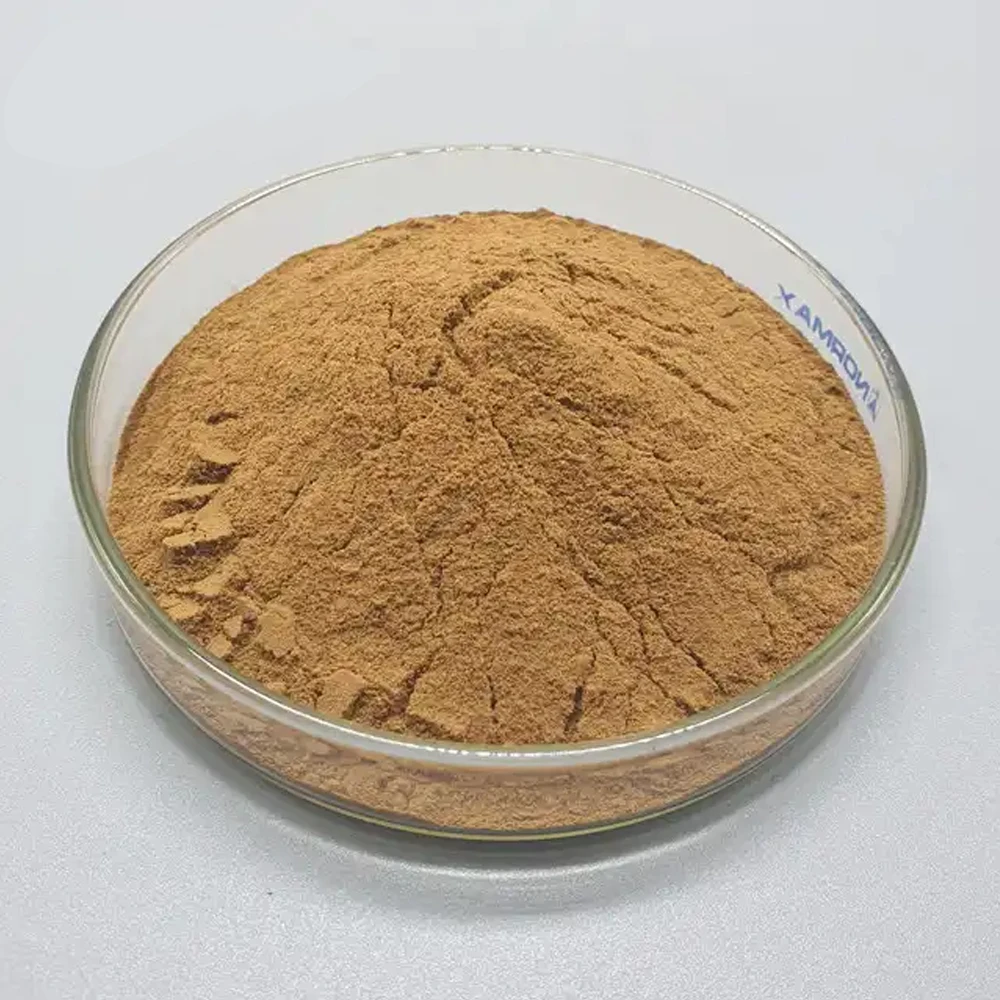 High Quality Polysaccharide 30% Oyster Mushroom Extract