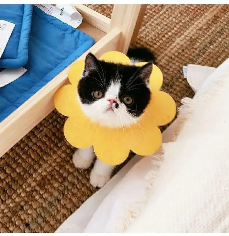 New design felt cute flower cat protection collar dog anti bite and lick pet product pet anti bite colar