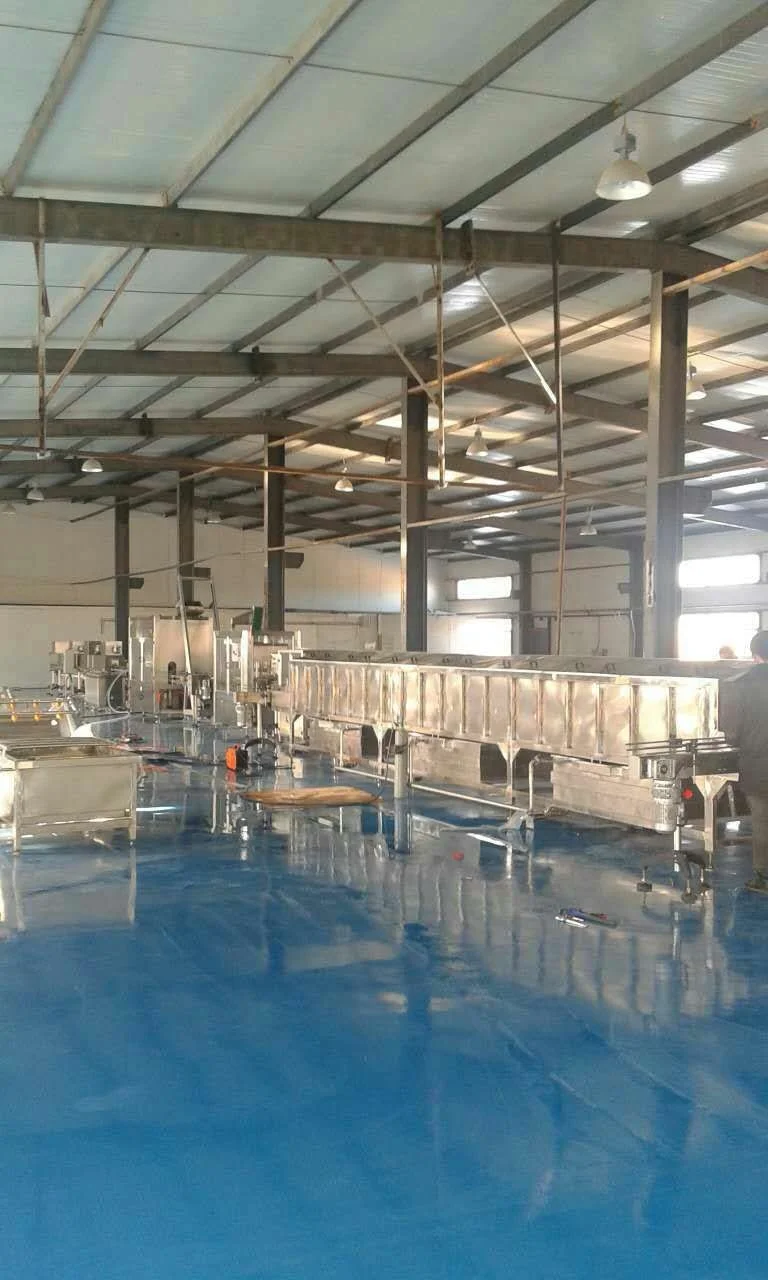 Low Temperature Food Pasteurization Machine Production Line