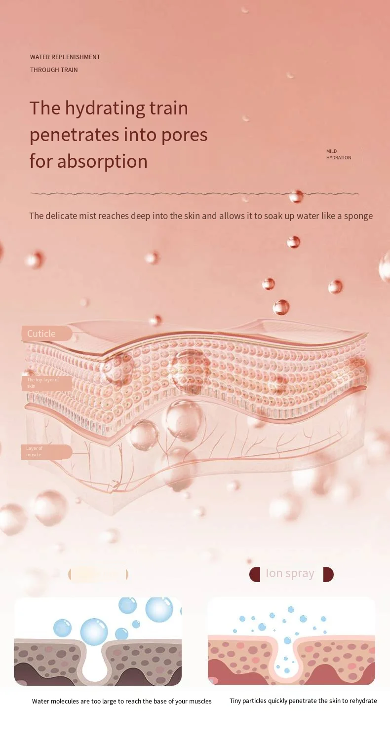 Face Steamer with Deep Moisturizing Skin Care Ionic Thermal Facial Steamer Electric Nano Mist Sprayer Steamer Facial