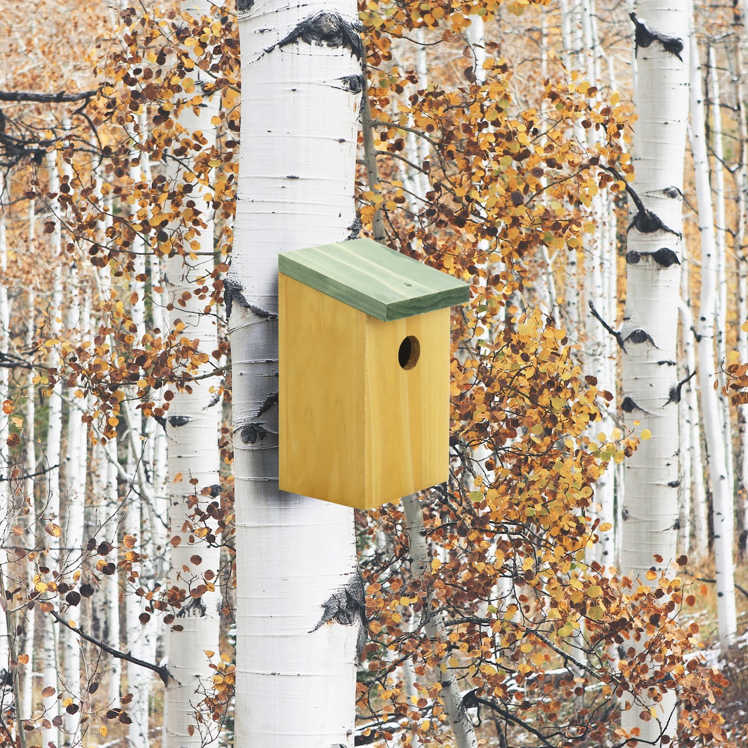 FSC&BSCI Wooden Bird House, Outdoor Bluebird House, Bird Houses for Outside Clearance, Swallow, Cardinals, Chickadee, and Wren