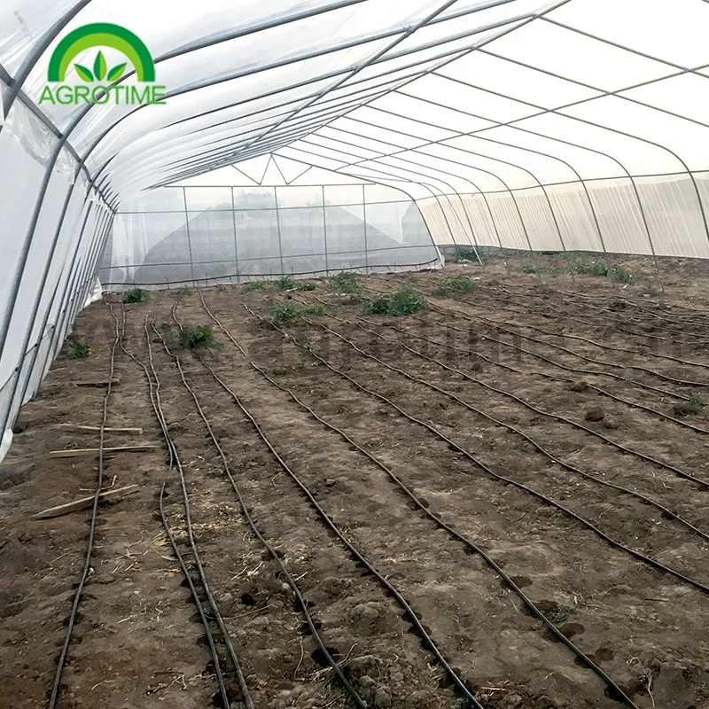 Strong packing poly tunnel hobby greenhouse commercial agricultural green house with vertical tower hydroponic growing system