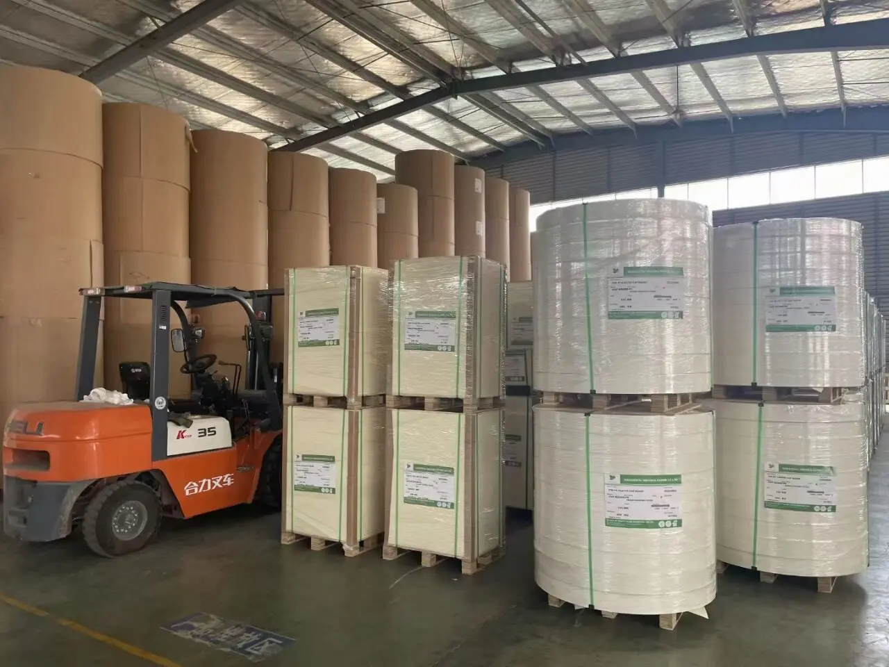 150 160 170 180 190 210 GSM + PE Coated Cup Paper Raw Material in rolls