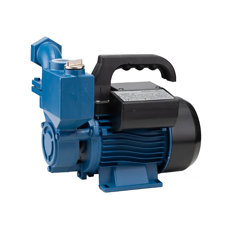 China Brand House Mini Single Phase 0.5Hp 0.75Hp 1Hp Domestic Self Priming Electric Motor Booster Water Pumps