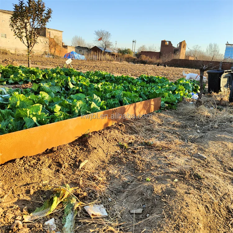 Corten steel lawn edging garden bed landscape edging garden edge border
