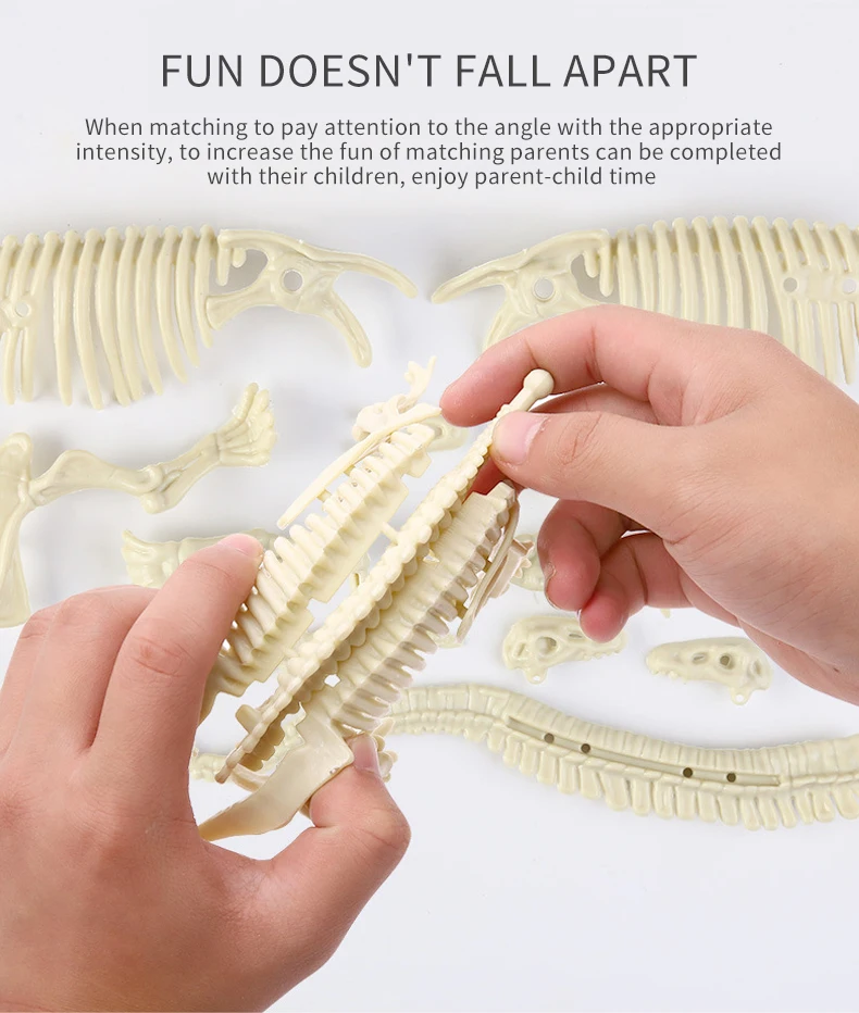 Dig Out Dinosaur Skeleton model Dino Fossil Dig Kit Dinosaur Excavation Fossil Digging Kit for kids