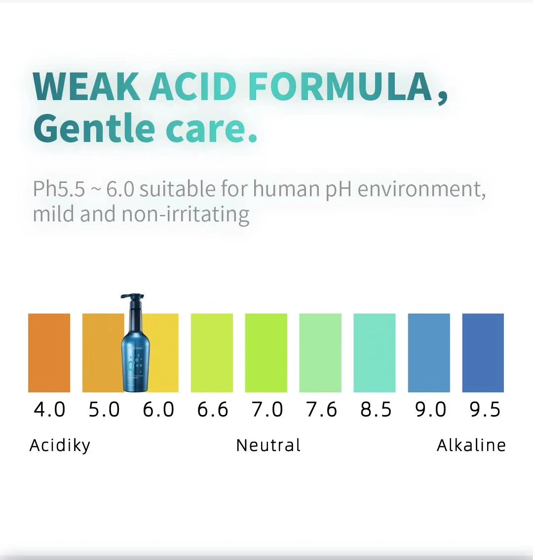 Ginacassiel Amino acid refreshing shampoo,Refreshing oil control shampoo 580ml