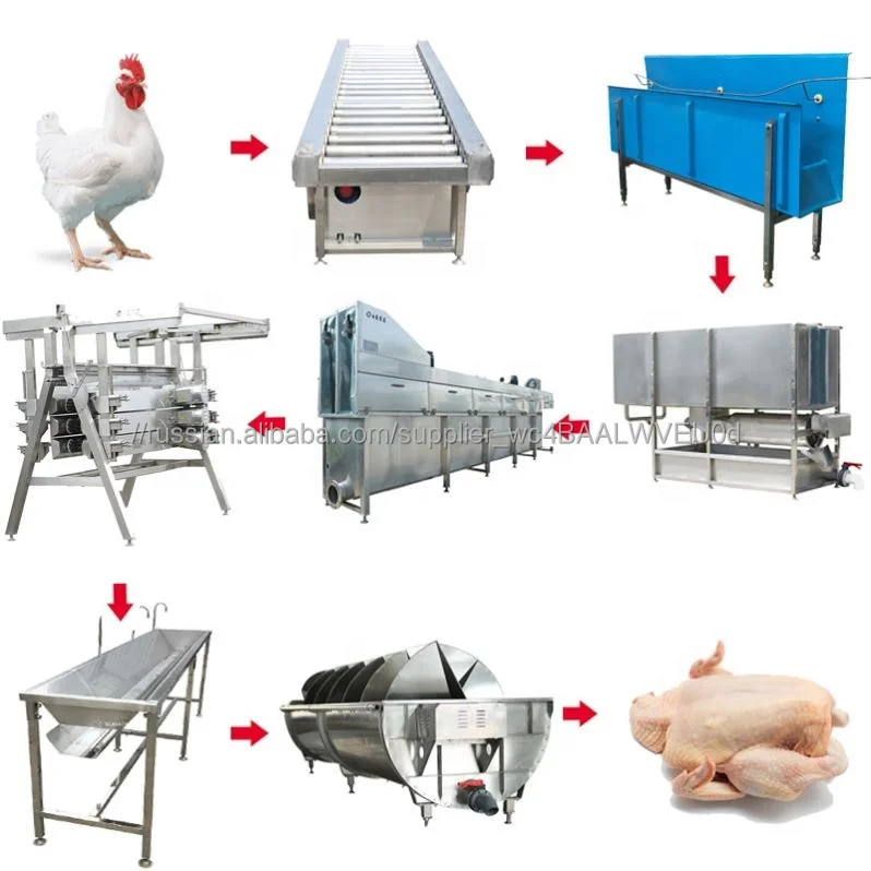 Автоматическая курица убоя De котлета де-воляй продается машинной обработки