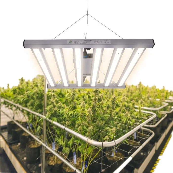 Indoor Plant Weed Growing 260W 330W Led Grow Light