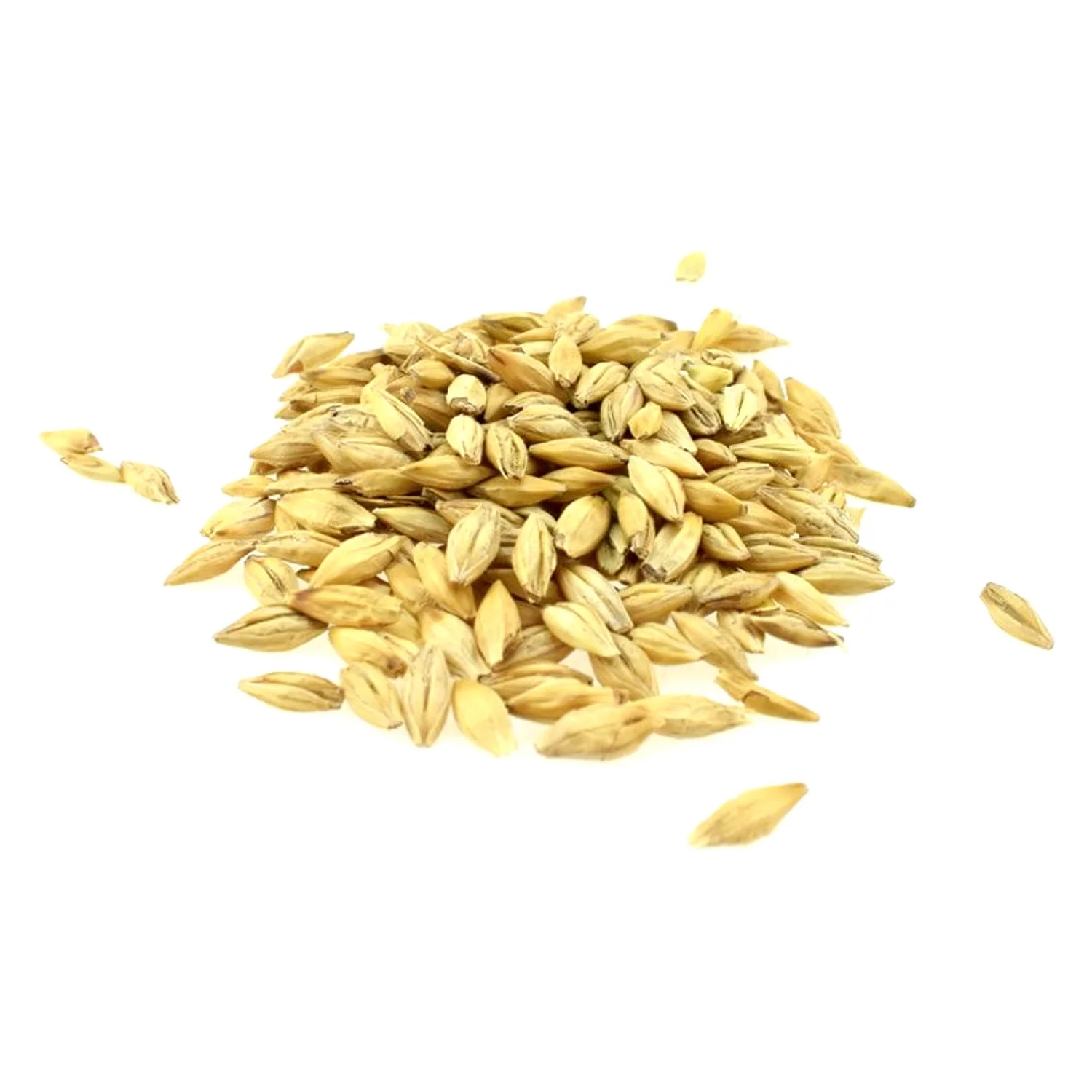 
High quality barley grain any quality requirements, from manufacturer  (1700005981029)