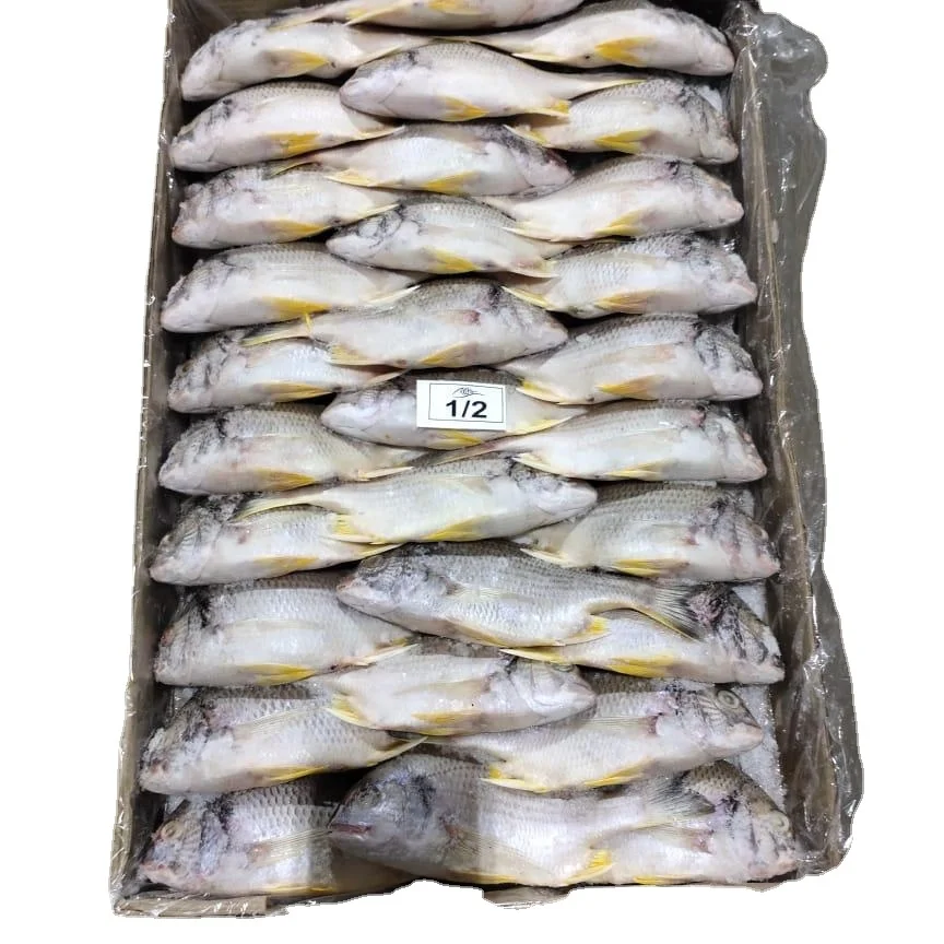 Замороженный черный морской лещ из