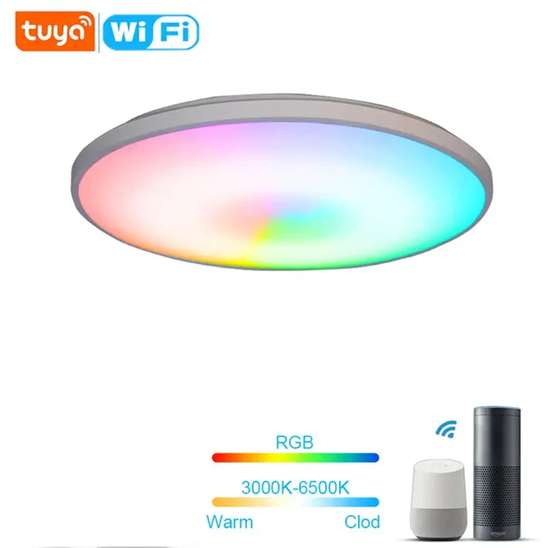 Slim Modern Nordic Flush Mount Tuya Smart LED Ceiling Light 2.4G wifi Smart RGB Zigbee Ceiling Light
