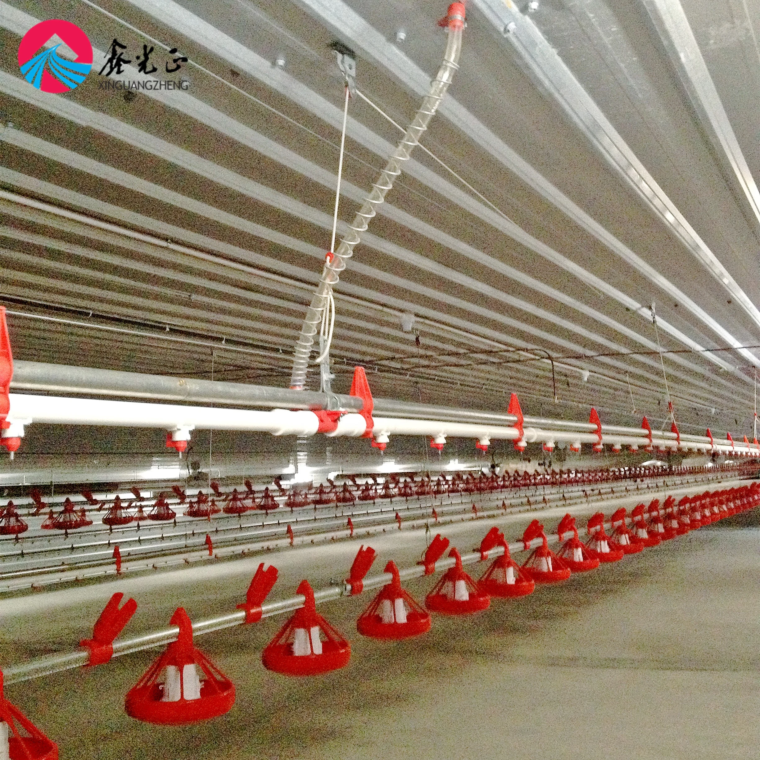 Prefab Steel Structure Chicken House Metal Building Materials Construction Poultry Farm Shed