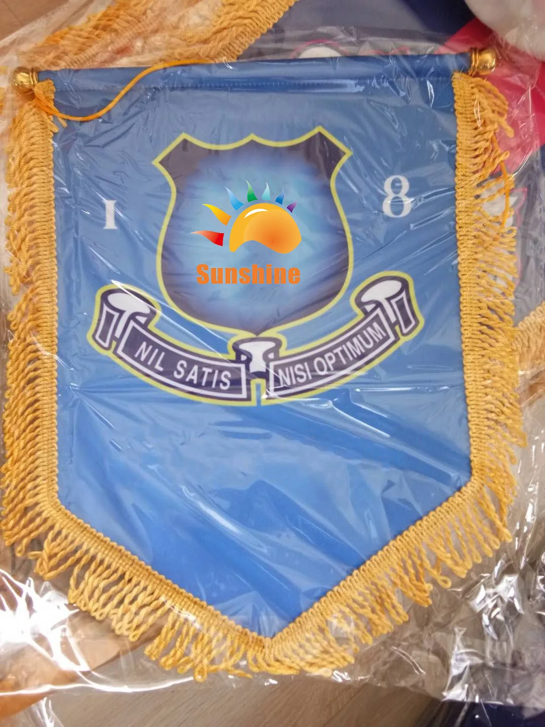 Hanging flag pennant flags custom printing