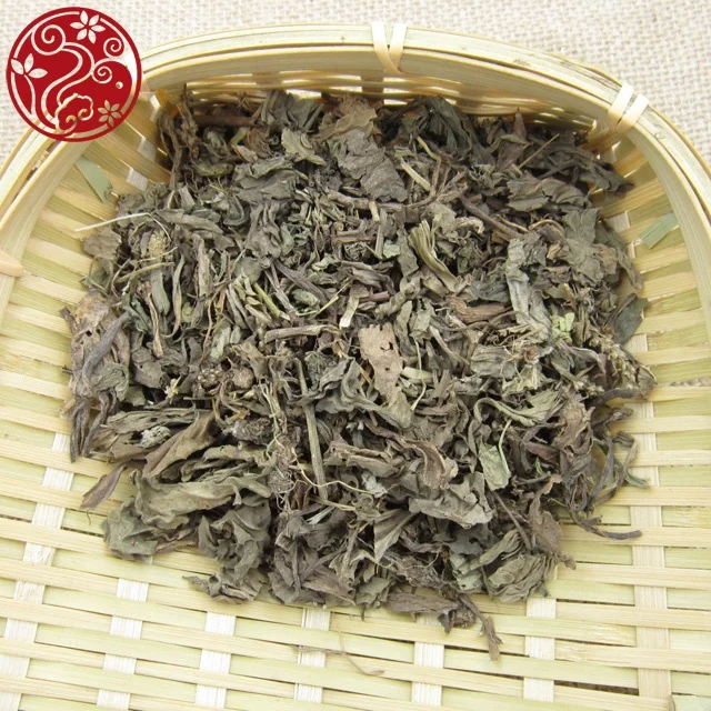 hot sale plantain herb Che Qian Cao herbal products improve vision