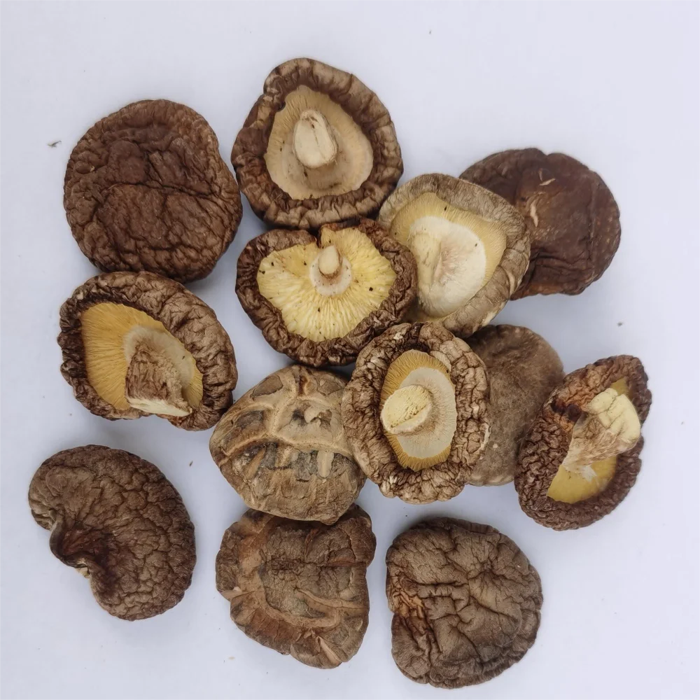 Type AA shiitake mushrooms dried mushroom