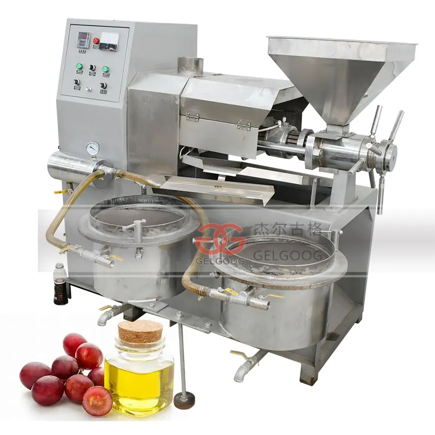 300-500Kg/H Safflower Oil Press Niger Grape Seed Oil Extraction Machine