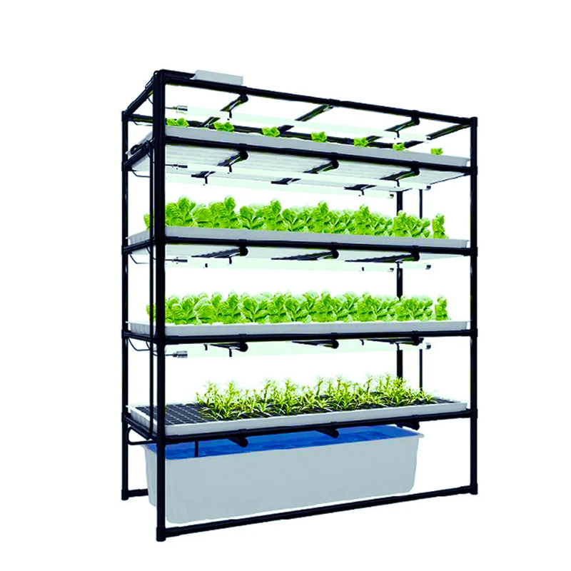 vertical farming racks fast fit hydro 1.2 meters 3 layers growing racks for mass lettuce production w / o grow trays grow lights