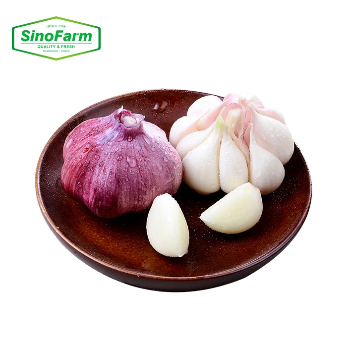 China Fresh Peeled Garlic Cloves Manufacturer Wholesale Garlic Peeled Packed In Vacuum Nitrogen Bag And Jar