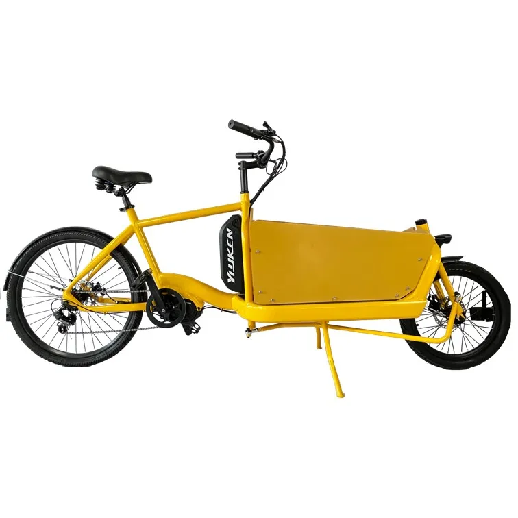 Электрический грузовой велосипед Yiyken с двумя колесами для взрослых/bakfiets трехколесный продажи
