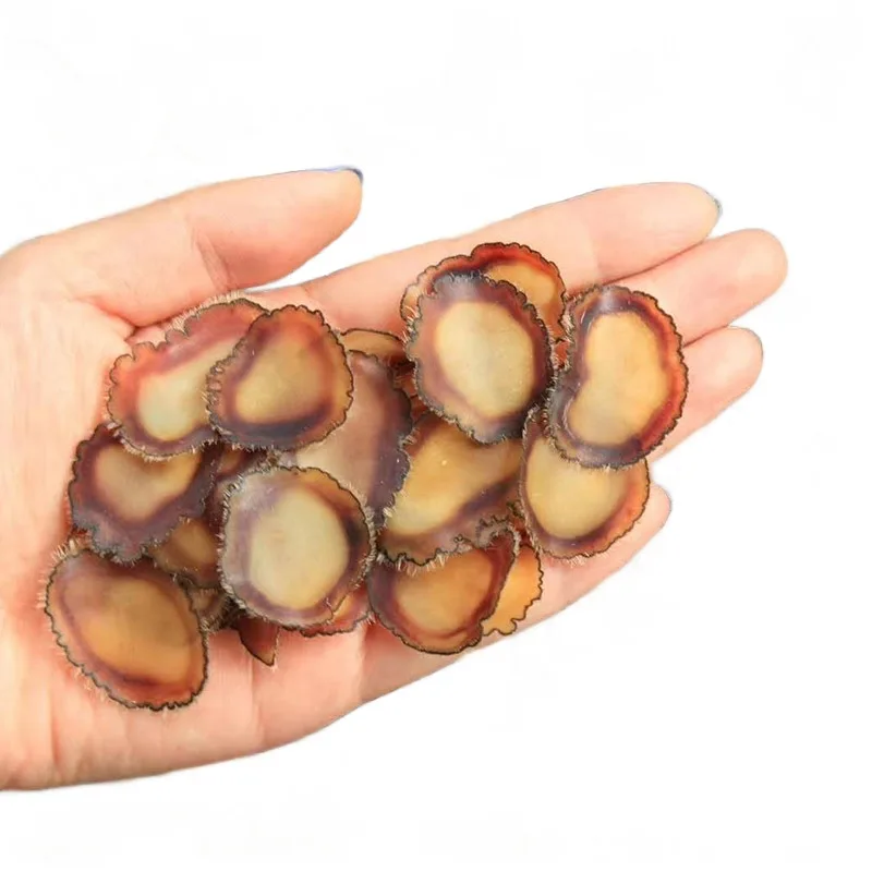 Оптовая продажа экстракт оленьих рогов бархатный из Jinhang лидер продаж китайская трава рога оленя ломтики пилоза