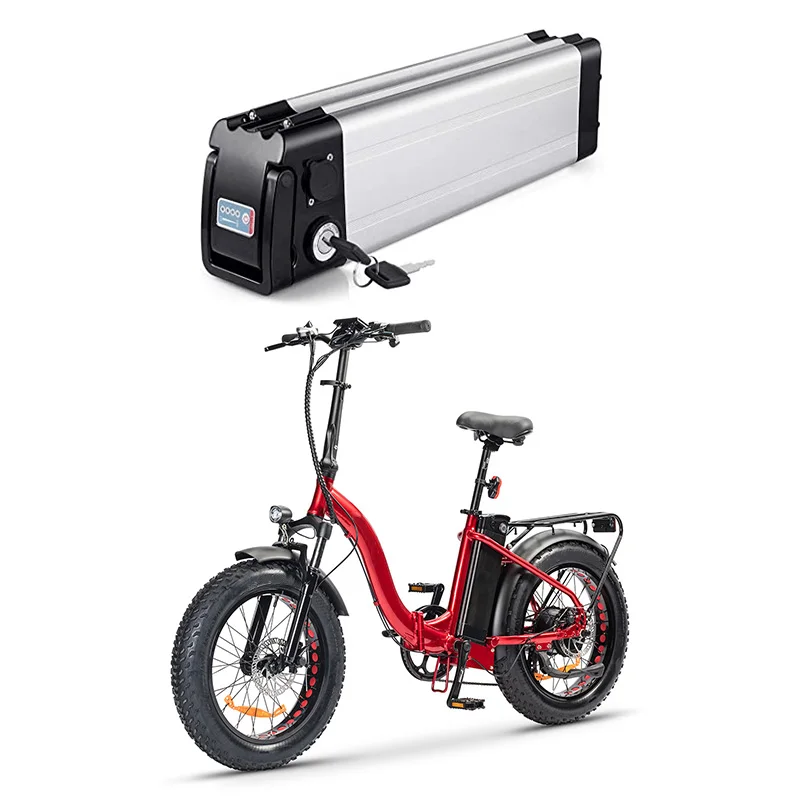 Powerful Li Ion Battery Pack 24v 36v 10ah 12ah 20ah Rechargeable Electric Bike Battery Silver Fish