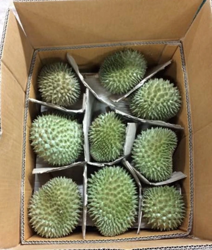 
Thailand Premium Fresh Puangmanee Durian 