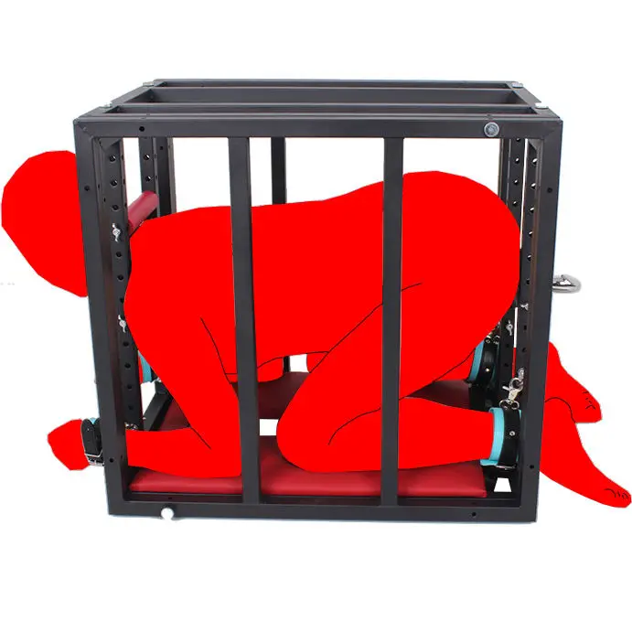 BDSM Dog cage training SM female training large restraint frame punishment Sex furniture