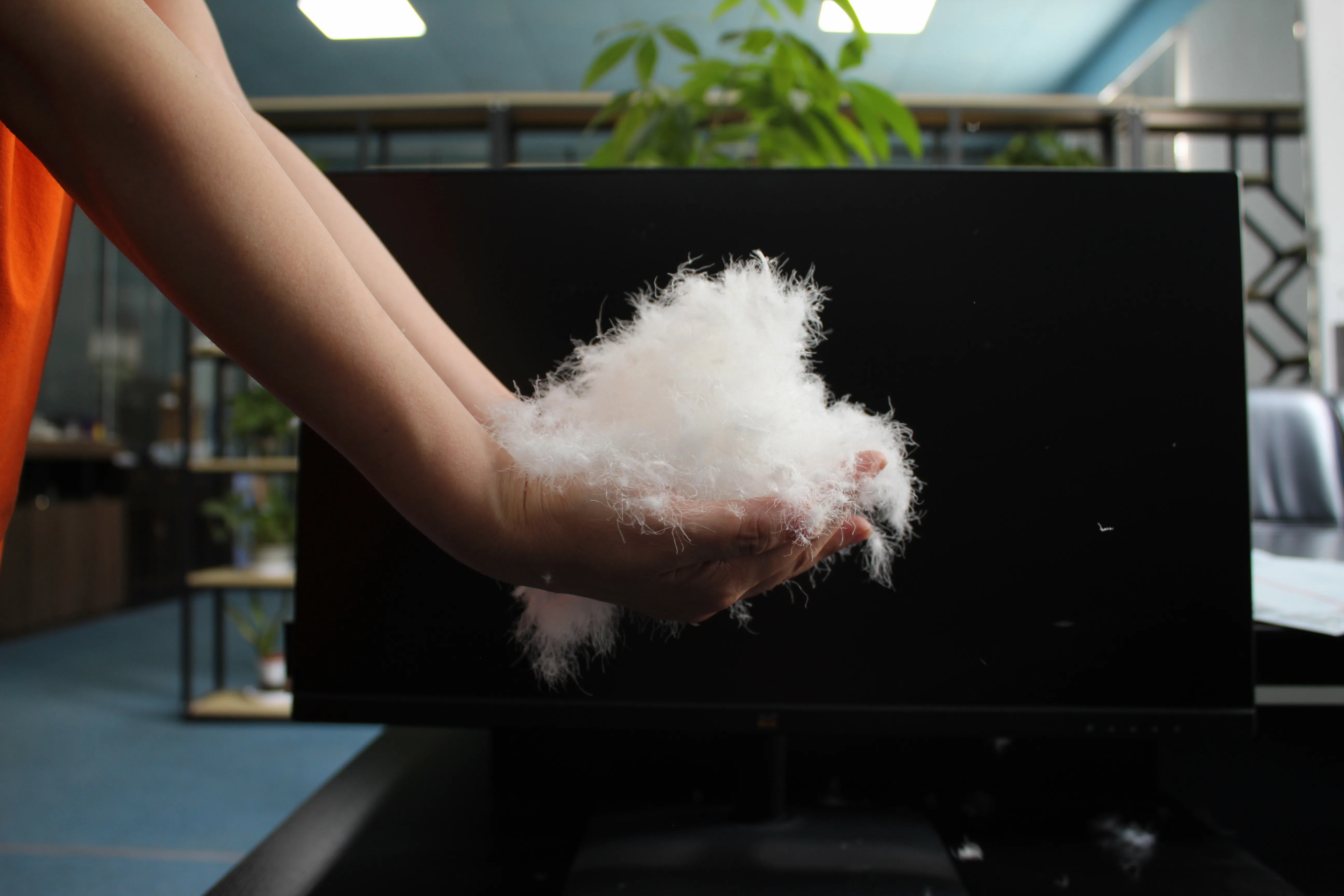 Wholesale Good Price High Filling Power White Goose Down  Pillow inserts Feather Down Washed Goose Down