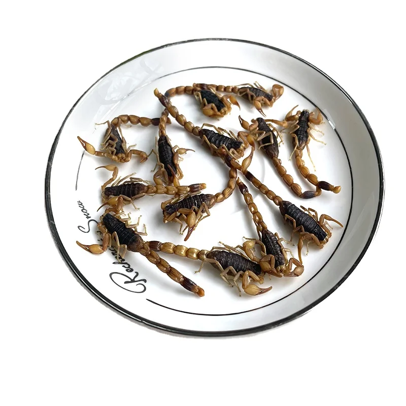Корм для домашних животных, эко свежий Скорпион, насекомое, белок, пищевой Скорпион для домашних животных