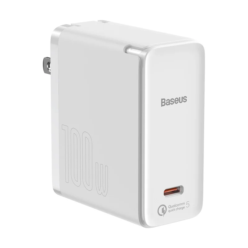 GaN2 Fast Charger Set 1C Mini White Cable Type-C to Type-C 100W (US)