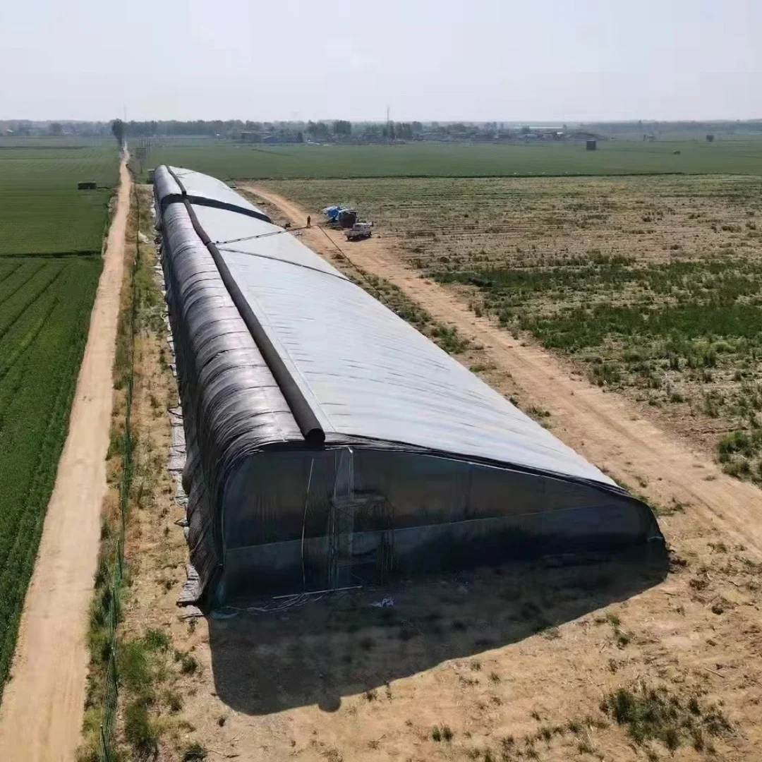 Agricultural Vegetable Planting Single Span Plastic Film Tunnel Green House kit Insulation Greenhouse Hoop House
