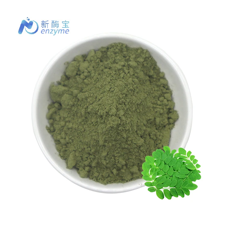 Novenzyme Оптовая торговля органический порошок листьев Moringa Oleifera