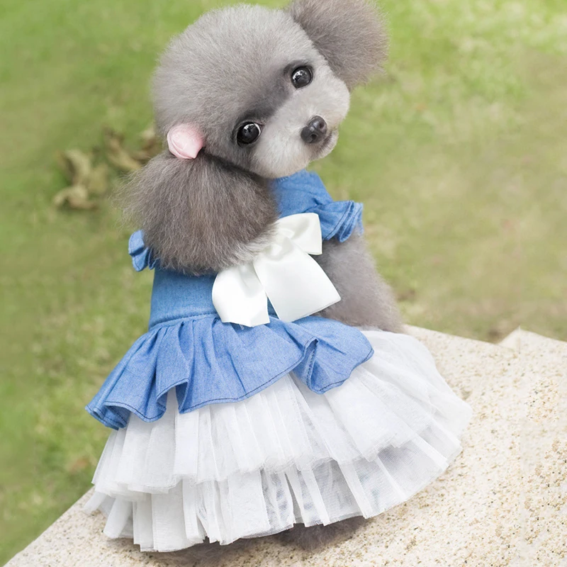 puppy pet clothes dog clothes cute dresses dog clothes korea