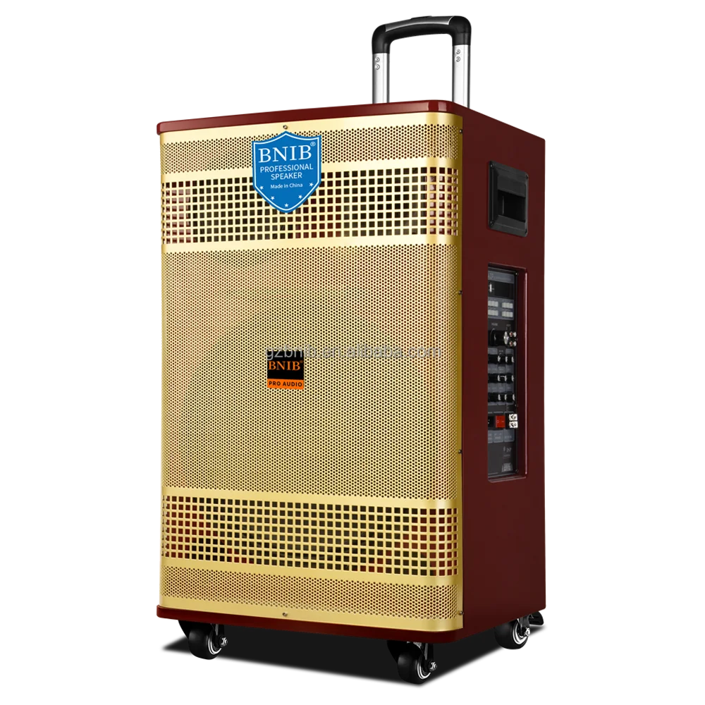 2022 New Products ODM Party Speaker Dancing Woofer Speaker With Mic Outdoor Speaker Display Wholesale