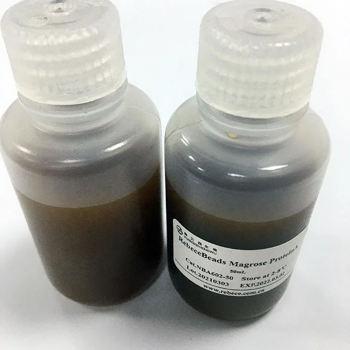 China Factory Supplied Top Quality Superparamagnetic Beads Protein A Extraction